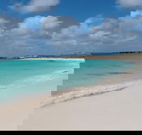 Pink Lake and Abrolhos Full Day Fly and Flipper - Accommodation in Surfers Paradise