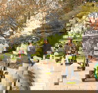 Perth East Foreshore and City Segway Tour - Accommodation in Surfers Paradise