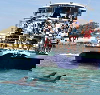 Mandurah Dolphin and Scenic Marine Cruise - Accommodation in Surfers Paradise