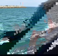 Mandurah Dolphin Island Adventure - Accommodation in Surfers Paradise