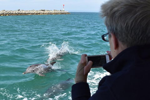 Mandurah Dolphin Island Adventure - Accommodation in Surfers Paradise 0