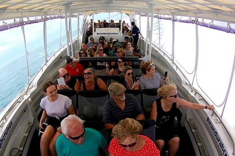 Mandurah Dolphin Island Adventure - Accommodation in Surfers Paradise 1