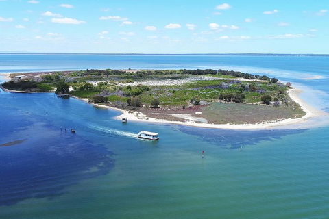 Mandurah Dolphin Island Adventure - Accommodation in Surfers Paradise 8