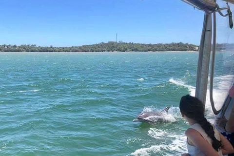 Mandurah Dolphin Island Adventure - Accommodation in Surfers Paradise 9
