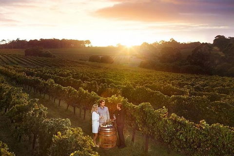 Leeuwin Estate: Food And Wine Experience - Accommodation in Surfers Paradise 0