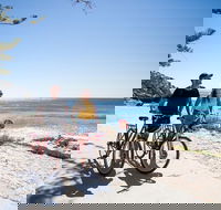 Rottnest Island with Bike Hire from Perth or Fremantle - Accommodation in Surfers Paradise