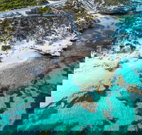 Rottnest Island Round-Trip Ferry from Perth or Fremantle - Accommodation in Surfers Paradise