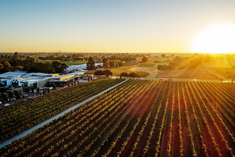 Half-Day Swan Valley Winery & Brewery - Accommodation in Surfers Paradise 6