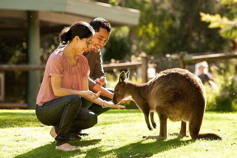 Very Best Of Perth Tour - Wildlife Park & City Highlights Tour - Accommodation in Surfers Paradise 0