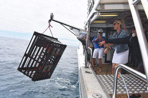 Rottnest Island Wild Seafood Package From Perth With Transfer - Accommodation in Surfers Paradise 0