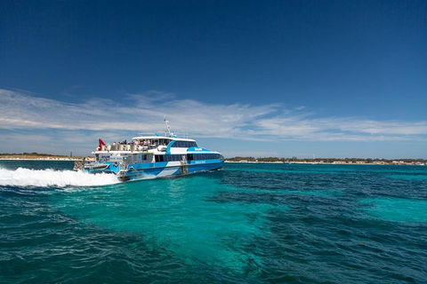 Rottnest Island Wild Seafood Package From Perth With Transfer - Accommodation in Surfers Paradise 1