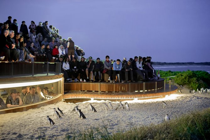 Phillip Island VIC Accommodation in Surfers Paradise