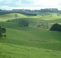 Day Tour of Phillip Island  Surrounding Region - Accommodation in Surfers Paradise