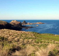 Phillip Island Walking  Bird Watching Tour - Accommodation in Surfers Paradise