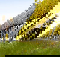 Overnight Daylesford and Macedon Ranges Gourmet Food Trail Tour from Melbourne - Accommodation in Surfers Paradise