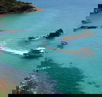 Cape Woolamai Sightseeing Cruise from San Remo - Accommodation in Surfers Paradise