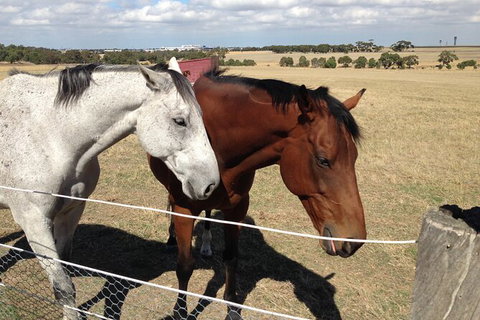Legends & Champions Tour - Accommodation in Surfers Paradise 7
