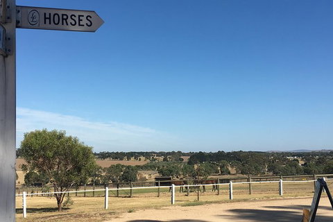 Legends & Champions Tour - Accommodation in Surfers Paradise 5