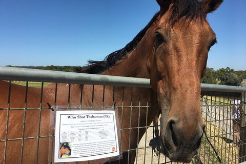 Legends & Champions Tour - Accommodation in Surfers Paradise 6