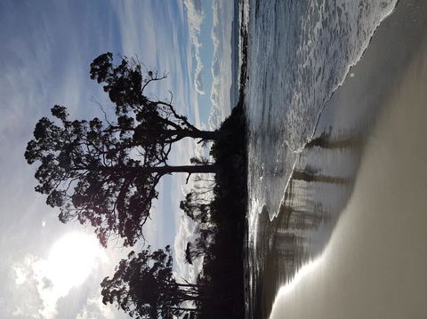 Bruny Island All Inclusive Gourmet Day Trip From Hobart - Accommodation in Surfers Paradise 5
