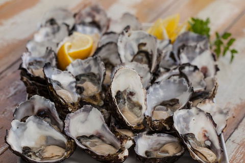 Bruny Island All Inclusive Gourmet Day Trip From Hobart - Accommodation in Surfers Paradise 25