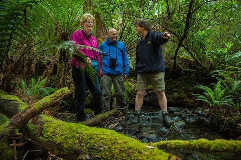 Bruny Island All Inclusive Gourmet Day Trip From Hobart - Accommodation in Surfers Paradise 28