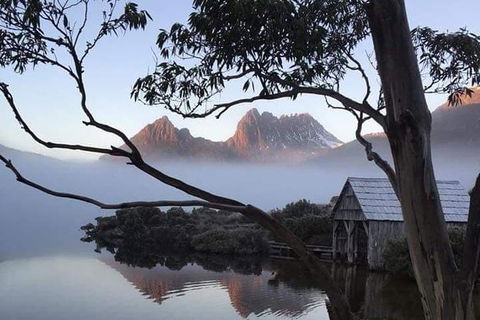Cradle Mountain Day Tour From Launceston Including Lunch - Accommodation in Surfers Paradise 7