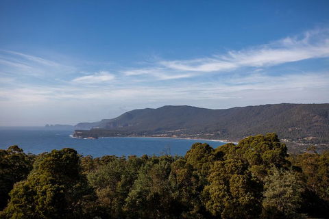 Port Arthur And Tassie Devils Active Day Tour From Hobart - Accommodation in Surfers Paradise 4