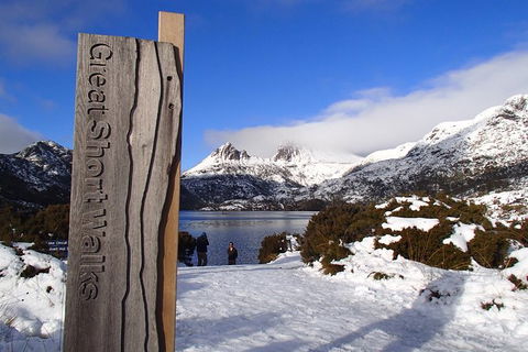 Cradle Mountain Active Day Trip From Launceston - Accommodation in Surfers Paradise 12