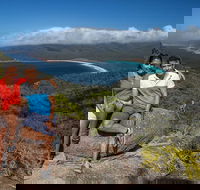 Full-Day Tour One-Way from Launceston to Hobart with Freycinet National Park - Accommodation in Surfers Paradise