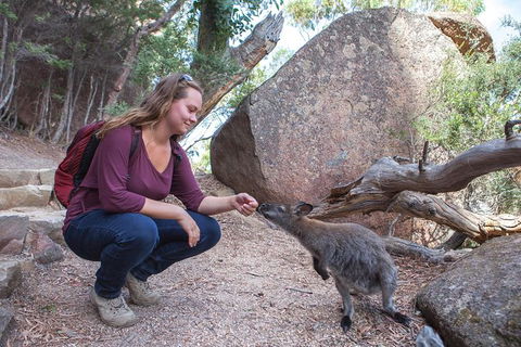 Full-Day Tour One-Way From Launceston To Hobart With Freycinet National Park - Accommodation in Surfers Paradise 10