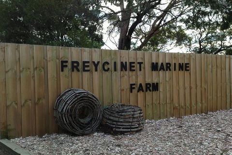 Full-Day Tour One-Way From Launceston To Hobart With Freycinet National Park - Accommodation in Surfers Paradise 8