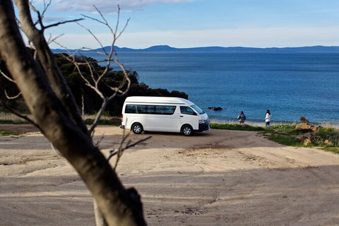 Wineglass Bay Explorer Active Day Trip From Launceston - Accommodation in Surfers Paradise 10