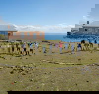 Maria Island Active Day Trip from Hobart - Accommodation in Surfers Paradise