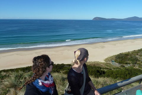 Small-Group Day Trip From Hobart To Bruny Island - Accommodation in Surfers Paradise 9