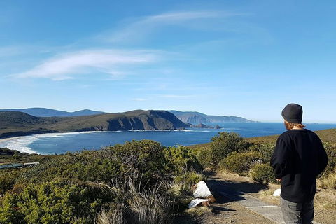 Small-Group Day Trip From Hobart To Bruny Island - Accommodation in Surfers Paradise 6