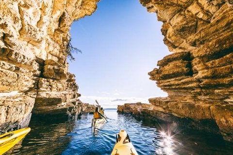 Hobart Kayak Tour - Accommodation in Surfers Paradise 0