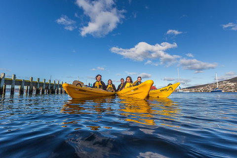 Hobart Kayak Tour - Accommodation in Surfers Paradise 7
