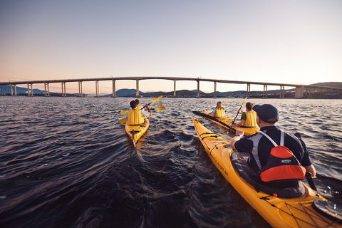 Hobart Kayak Tour - Accommodation in Surfers Paradise 2