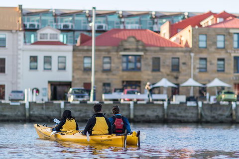 Hobart Kayak Tour - Accommodation in Surfers Paradise 6