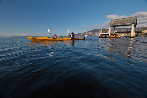 Hobart Kayak Tour - Accommodation in Surfers Paradise 4
