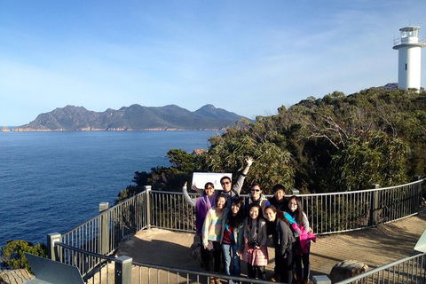 3-Day Tasmania Combo: Hobart To Launceston Active Tour - Accommodation in Surfers Paradise 12