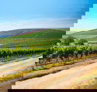 Full Day Tamar Valley Wine Tour - Accommodation in Surfers Paradise