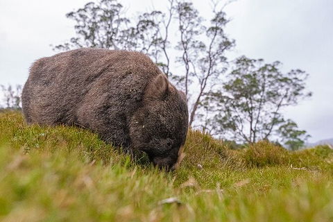 3-Day Cradle Mountain Photography Workshop - Accommodation in Surfers Paradise 7