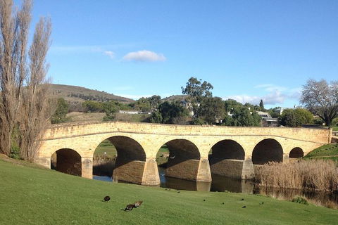 Private Bonorong Wildlife Sanctuary And Richmond 5 Hour Trip From Hobart - Accommodation in Surfers Paradise 1