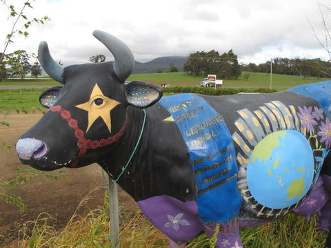 Cradle Mountain National Park Day Tour From Launceston - Accommodation in Surfers Paradise 18