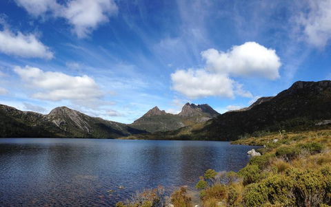 Cradle Mountain National Park Day Tour From Launceston - Accommodation in Surfers Paradise 12