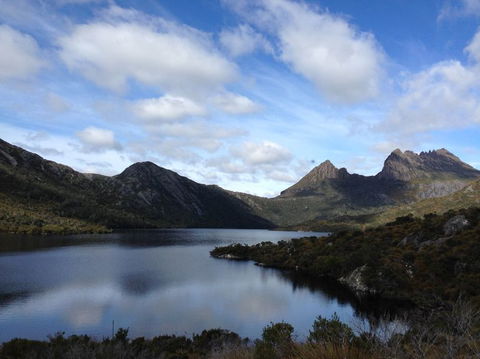 Cradle Mountain National Park Day Tour From Launceston - Accommodation in Surfers Paradise 11