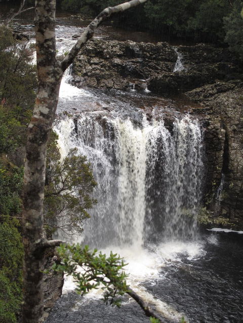 Cradle Mountain National Park Day Tour From Launceston - Accommodation in Surfers Paradise 3