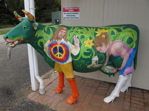 Cradle Mountain National Park Day Tour From Launceston - Accommodation in Surfers Paradise 4